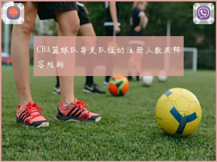 CBA篮球队每支队伍的注册人数及阵容结构