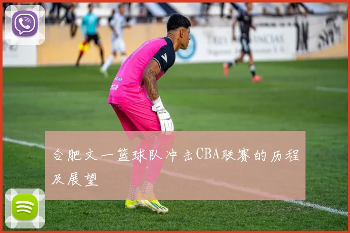 合肥文一篮球队冲击CBA联赛的历程及展望
