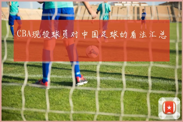 CBA现役球员对中国足球的看法汇总